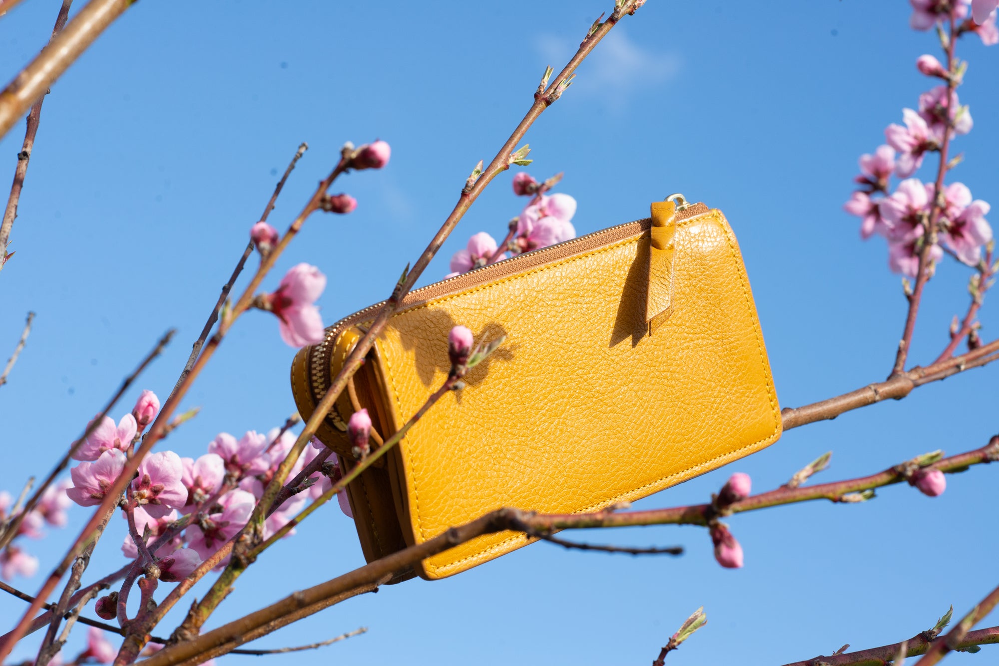 Tripp Wallet Turmeric