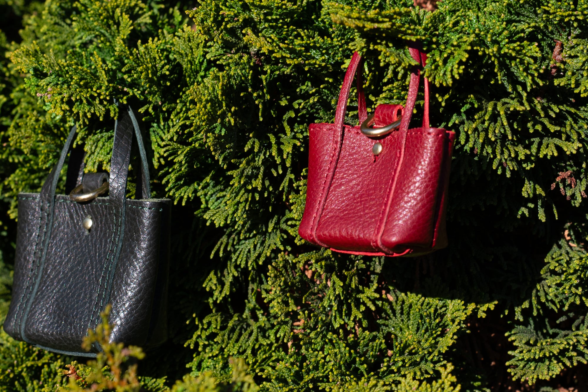 The Micro Tote Lifestyle