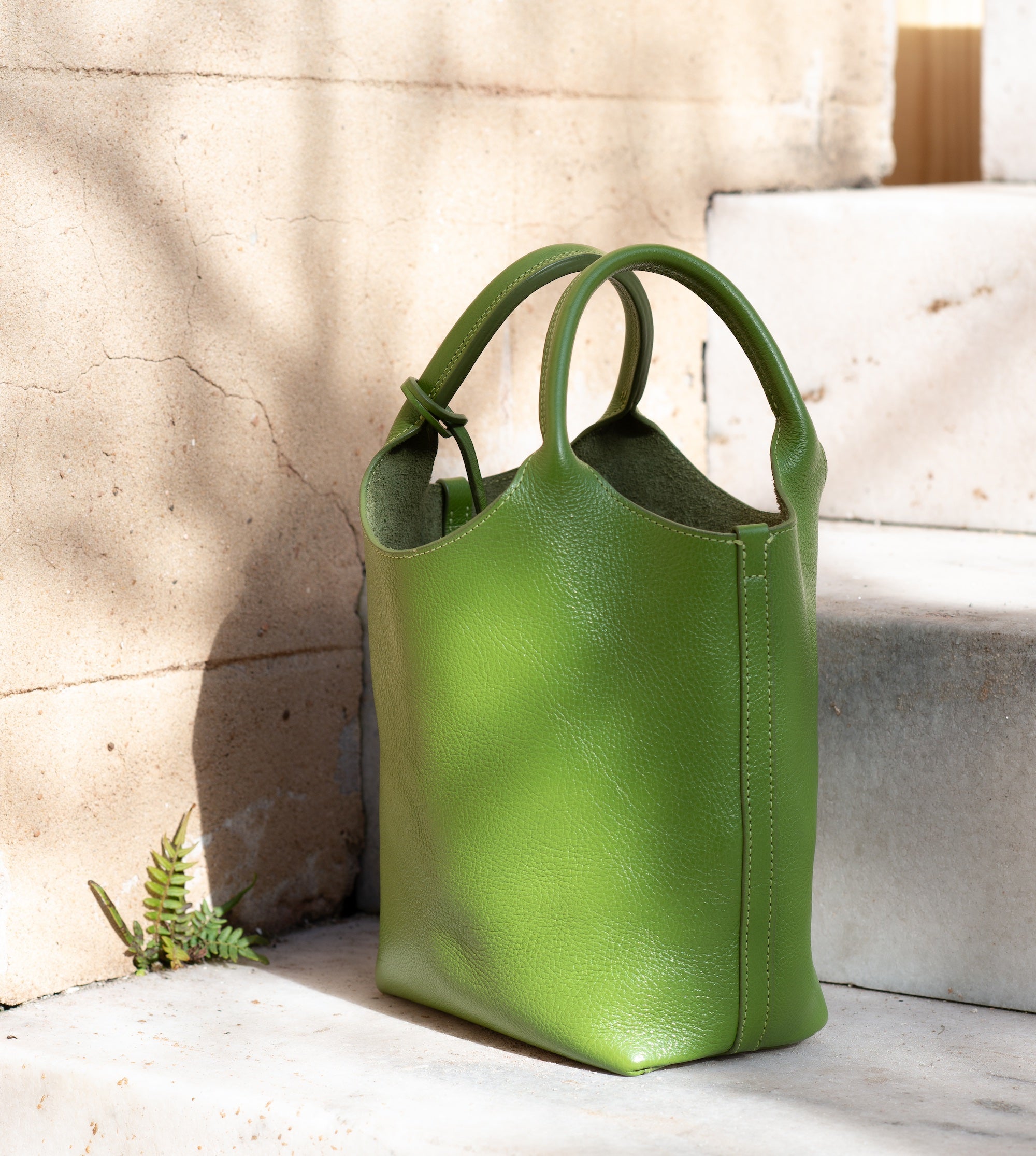 The One-Piece Bag Fern