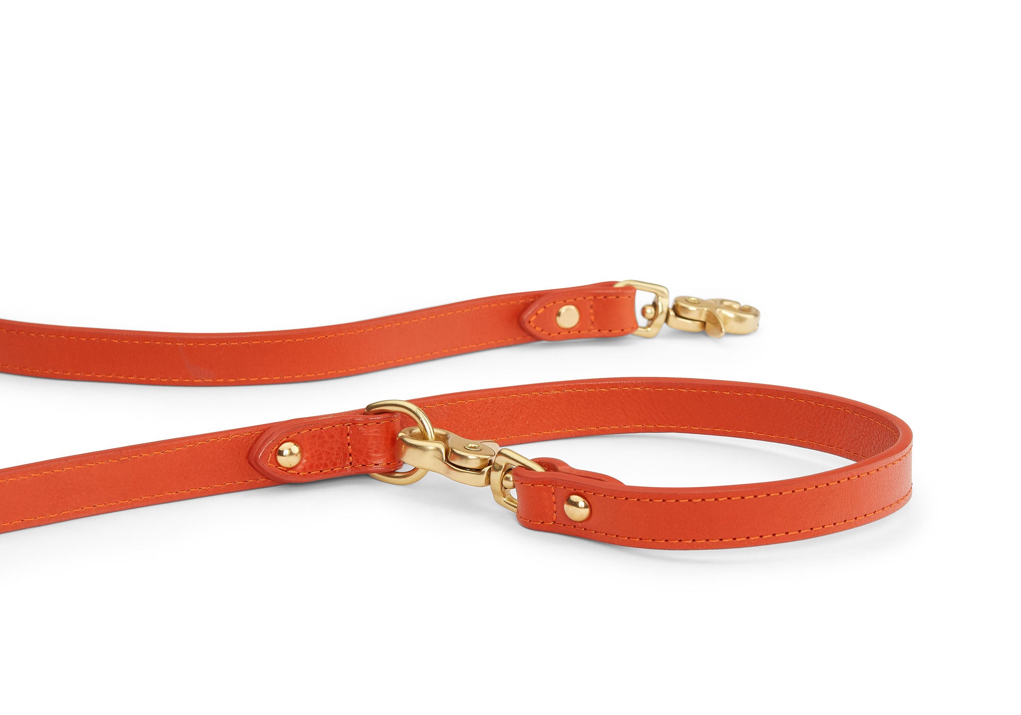 Leather Dog Leash Orange