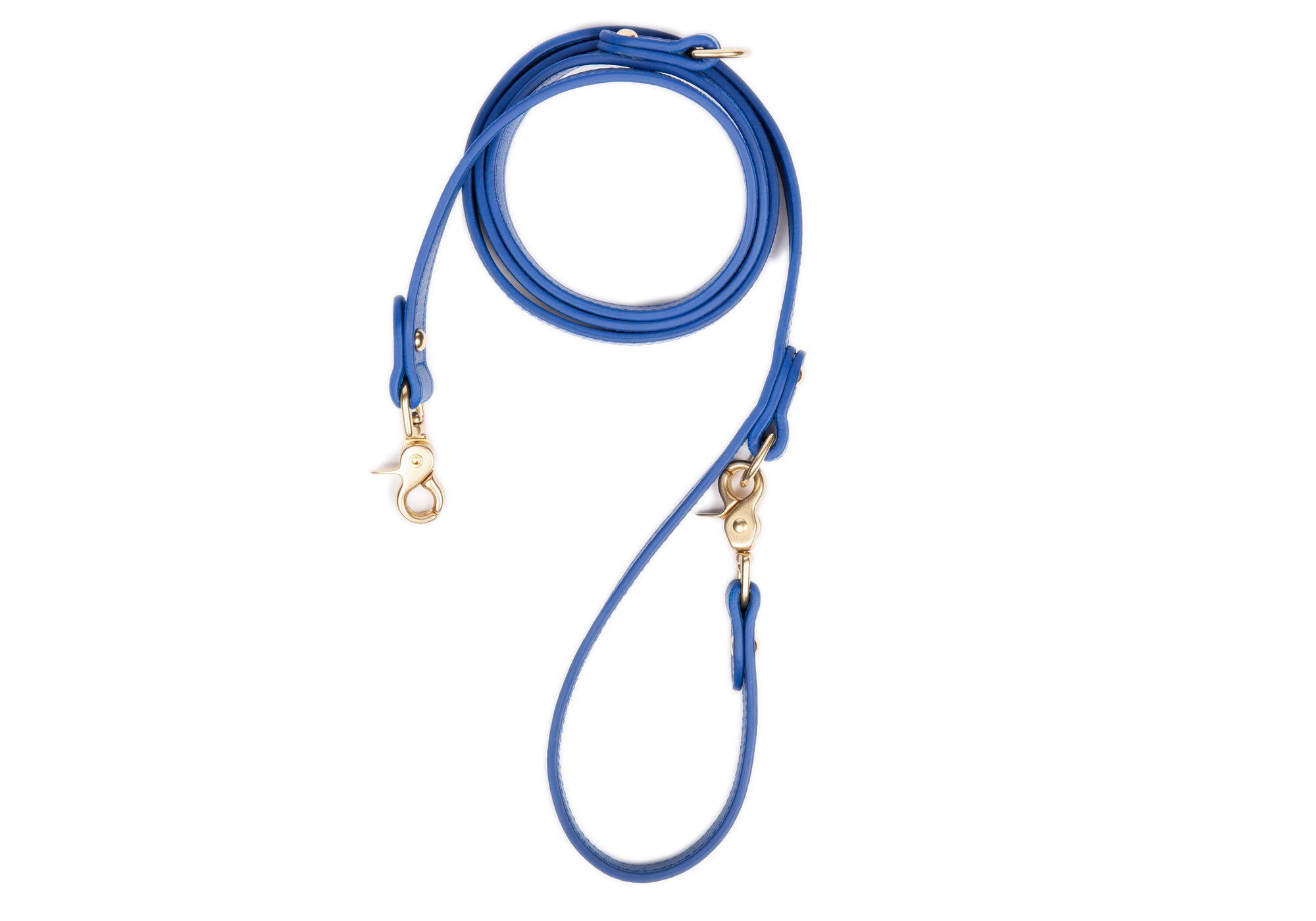 Leather Dog Leash Electric Blue