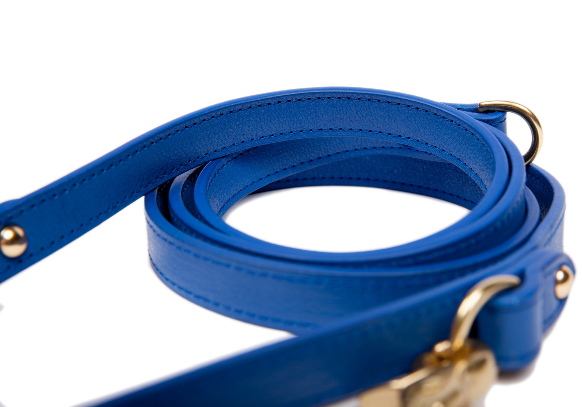 Leather Dog Leash Electric Blue