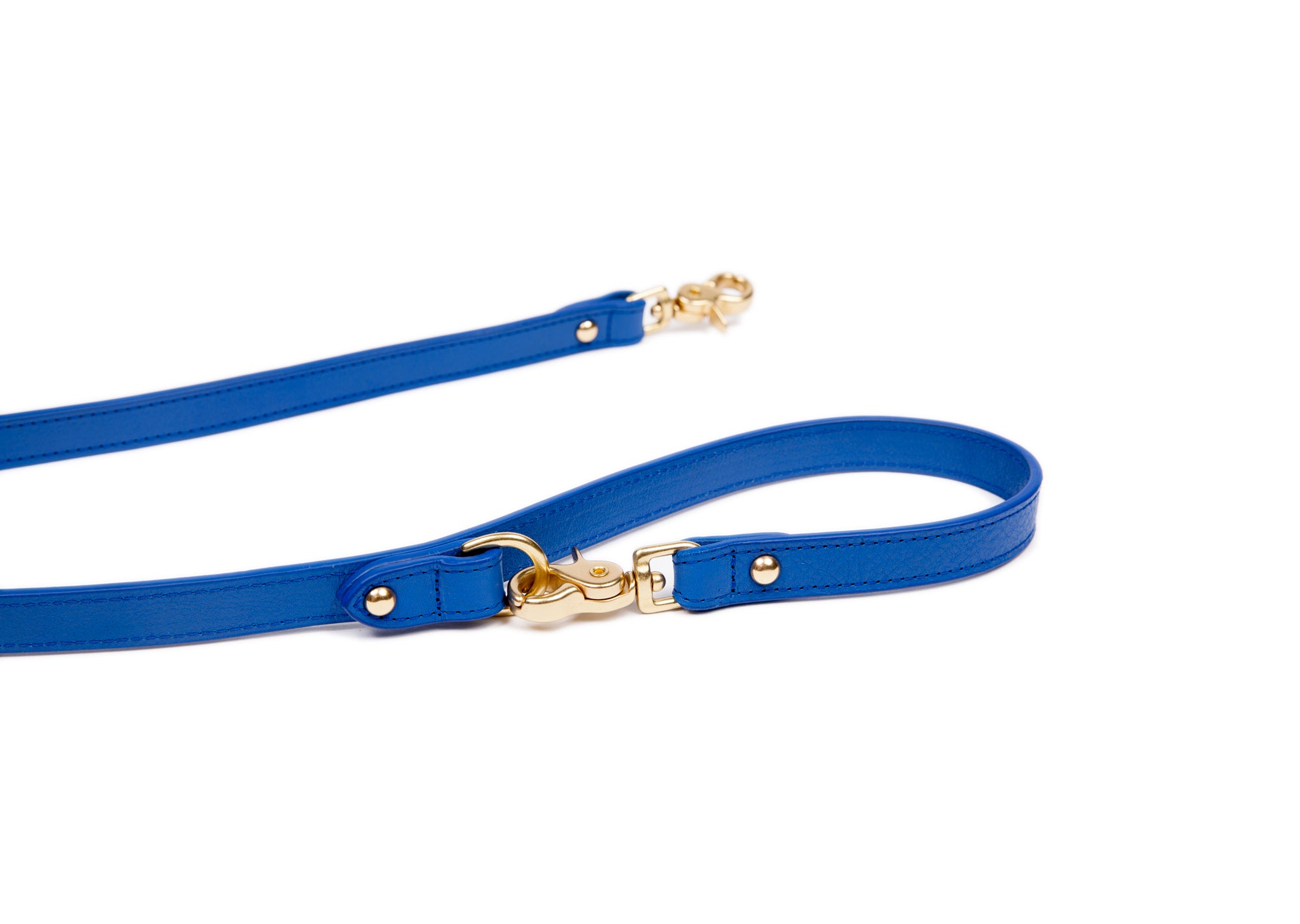 Leather Dog Leash Electric Blue