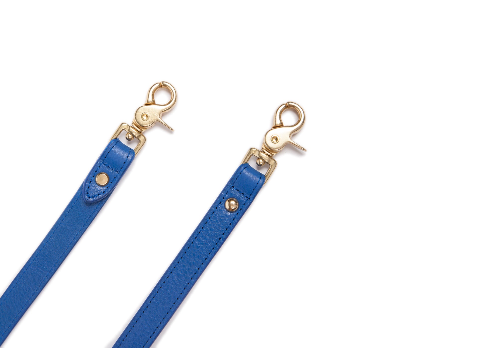 Leather Dog Leash Electric Blue