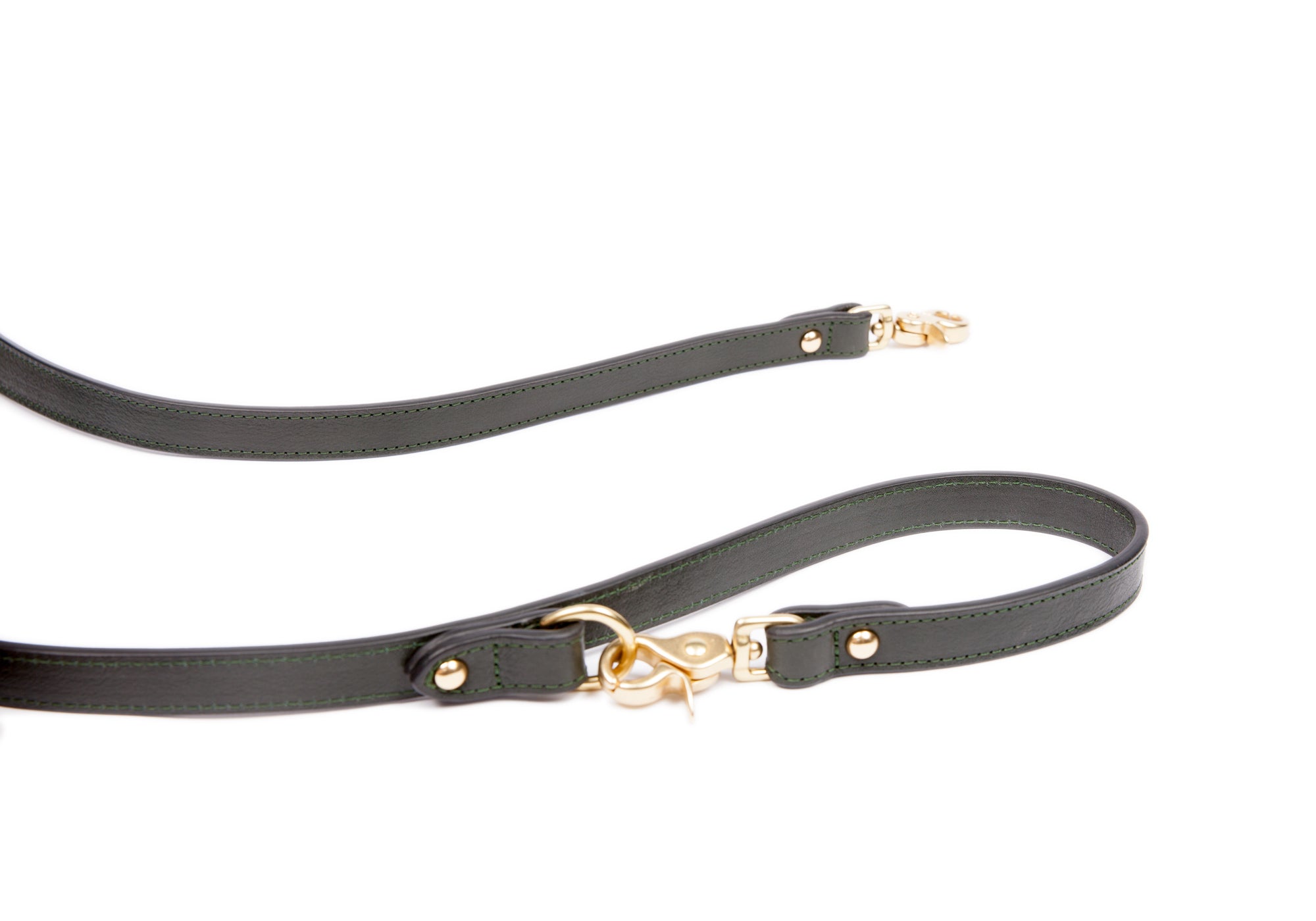 Leather Dog Leash Green