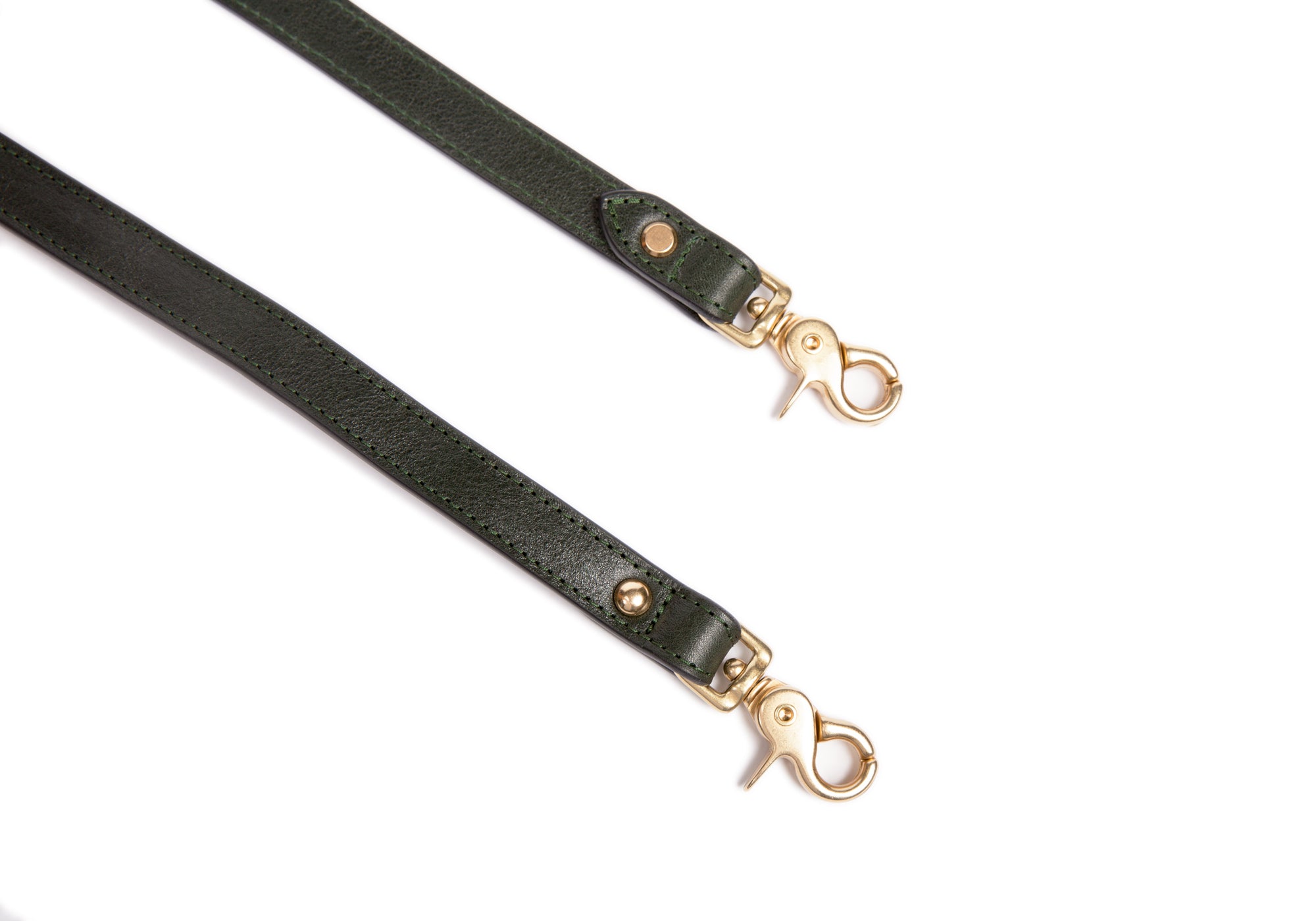 Leather Dog Leash Green