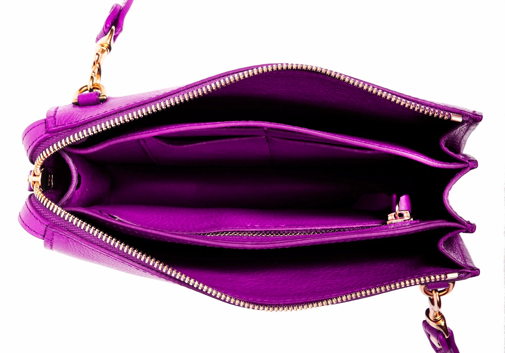 Inner View of The Tripp Orchid