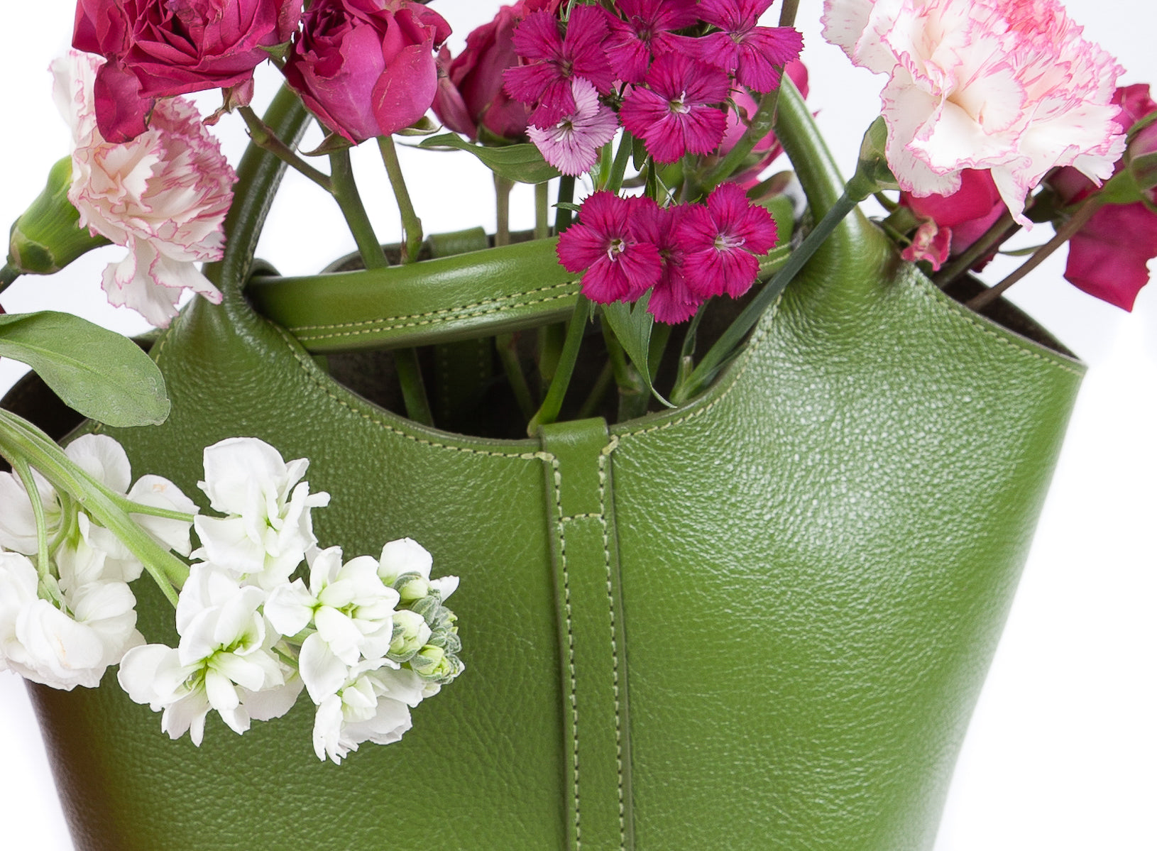 The One-Piece Bag Fern