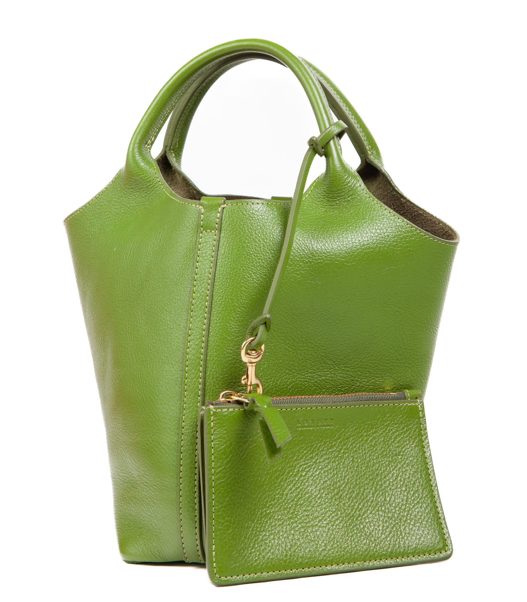 The One-Piece Bag Fern