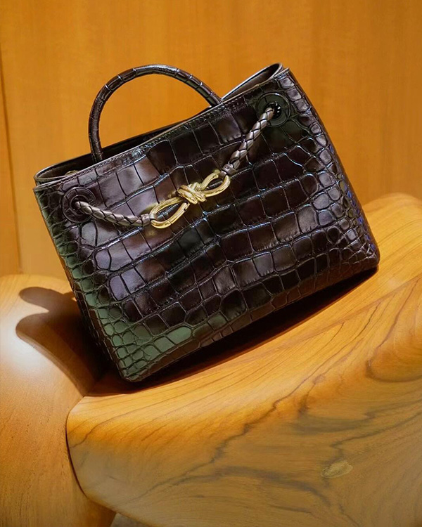 Small Andiamo Crocodile Pattern Cross Bag (Chocolate brown)